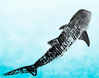 whale shark SVG, whale shark DXF, whale shark, Whales shark vector , Vector SVG, ocean animal svg, whale shark cut files for cricut