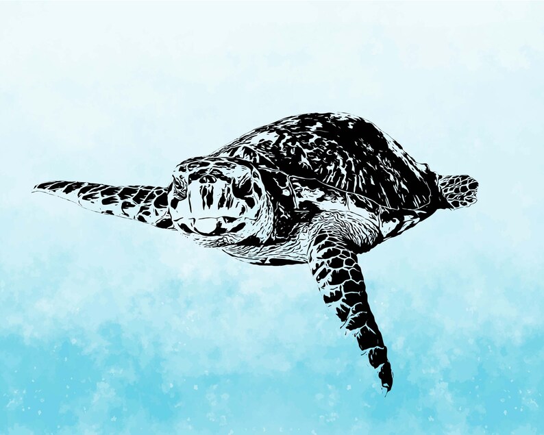 Turtle Fileversion Turtle SVG - Turtle PNG - Turtle Clipart - Animal SVG - Turtle Cut ...