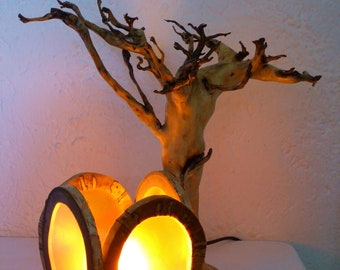 Table lamp made of rootwood