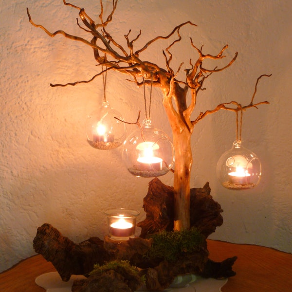 Root tree with hanging glass balls for tea lights on an oak root