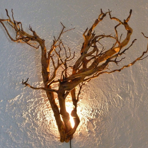 Burl wood wall lamp