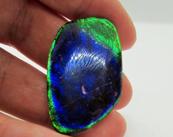 ammolite free form doublet