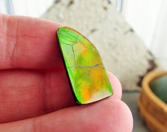 small natural double sided ammolite stone