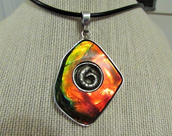 large ammolite pendant with pyrite ammonite