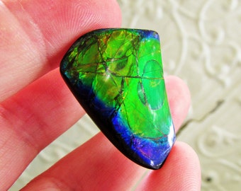 loose ammolite gemstone doublet