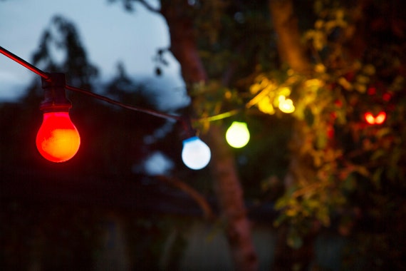 Coloured festoon lights deals