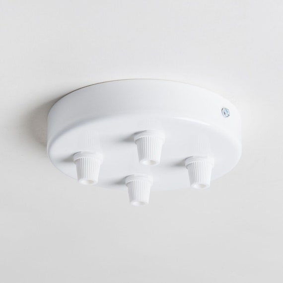 ceiling pendant and rose