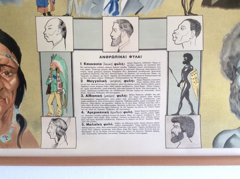 Human Races Chart Anthropology Print Ethnology Chart Human - Etsy