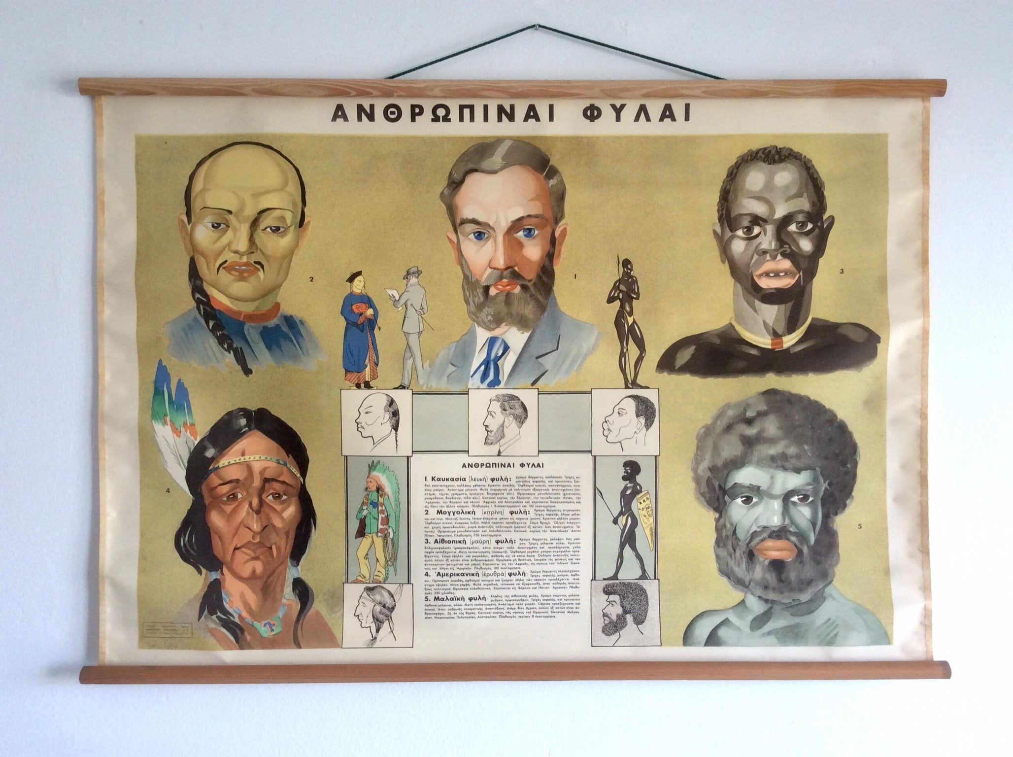 Human Races Chart Anthropology Print Ethnology Chart Human - Etsy