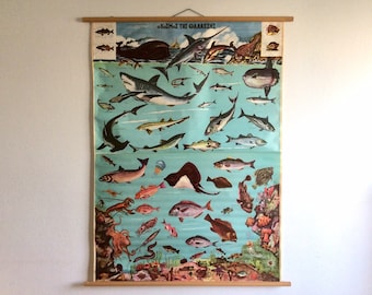 May include: A vintage educational chart featuring a colorful illustration of various sea creatures, including fish, sharks, rays, and a whale. The chart is titled "Ο ΚΟΣΜΟΣ ΤΗΣ ΘΑΛΑΣΣΗΣ" in Greek, which translates to "The World of the Sea".