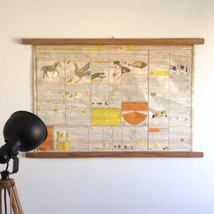 Vintage Seltenes Zoologisches Poster, altes griechisches Lehrposter, Schulkarte, Zoologie Poster, Wand wandteppich.