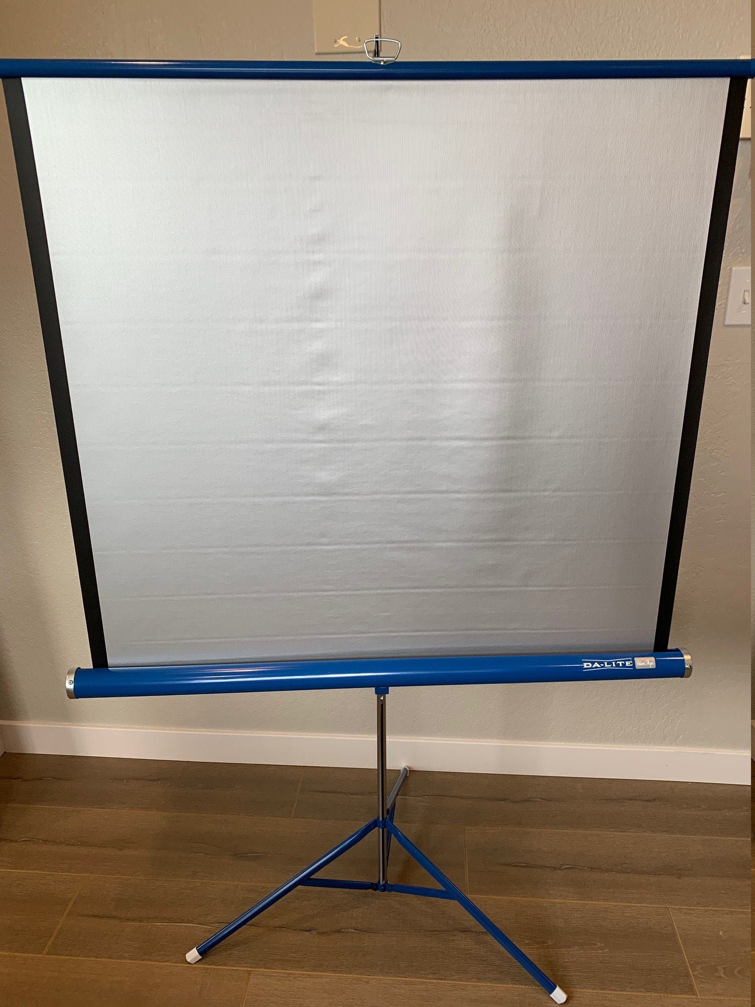 Dalite Flyer Projector screen www.ugel01ep.gob.pe