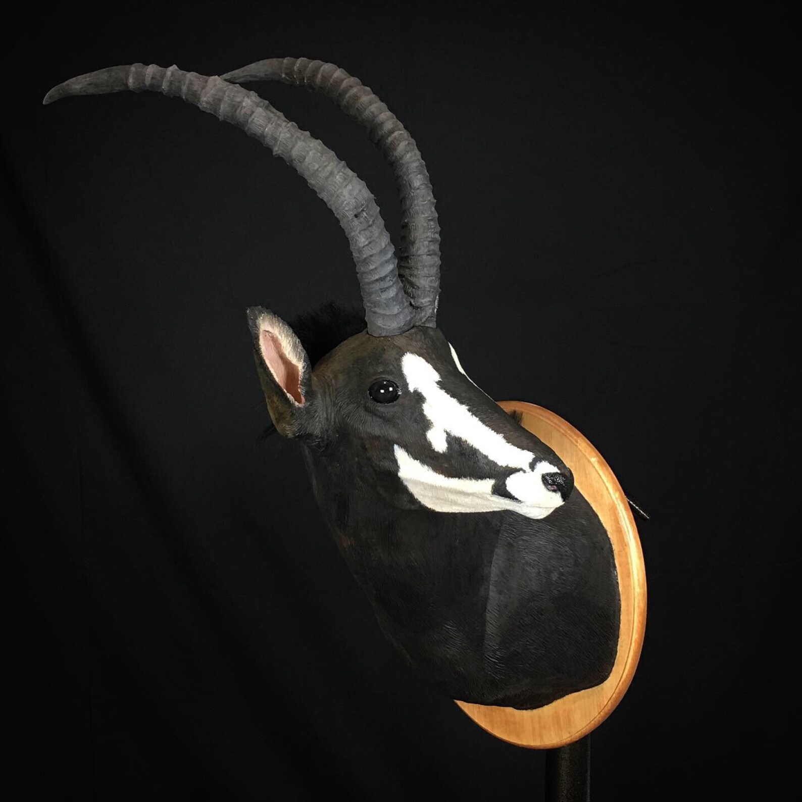 Custom Animal Head Mount PLEASE READ DESCRIPTION Etsy