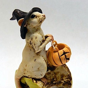 May include: A white mouse wearing a black witch hat holds a small orange pumpkin with a carved face. The mouse is sitting on a green and brown rock.