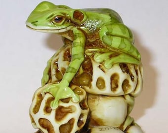 Artist Neil Eyre Eyredesigns Tree frog frogs on Toadstool Morell Mushroom Toad YOUR CHOICE of Color Handmade USA