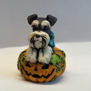 May include: A black and white miniature schnauzer figurine sits on top of a carved orange pumpkin with a jack-o'-lantern face. The pumpkin has green vines and leaves.