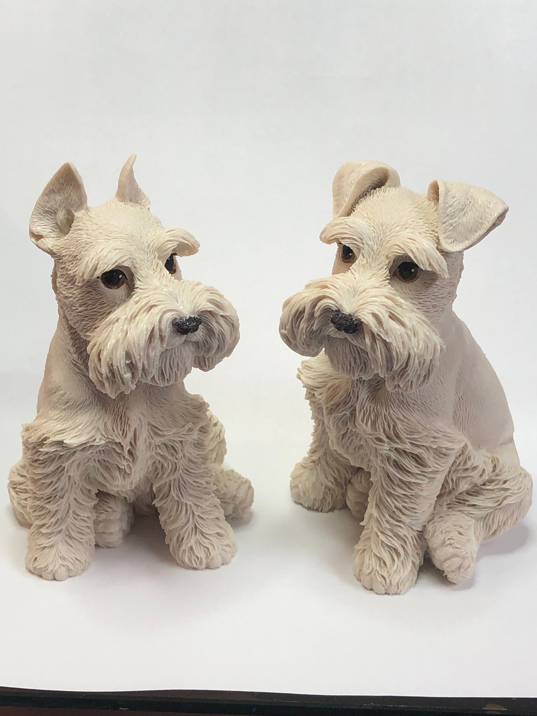 Schnauzer With Natural Ears And Tail Schnauzer Crop Ear