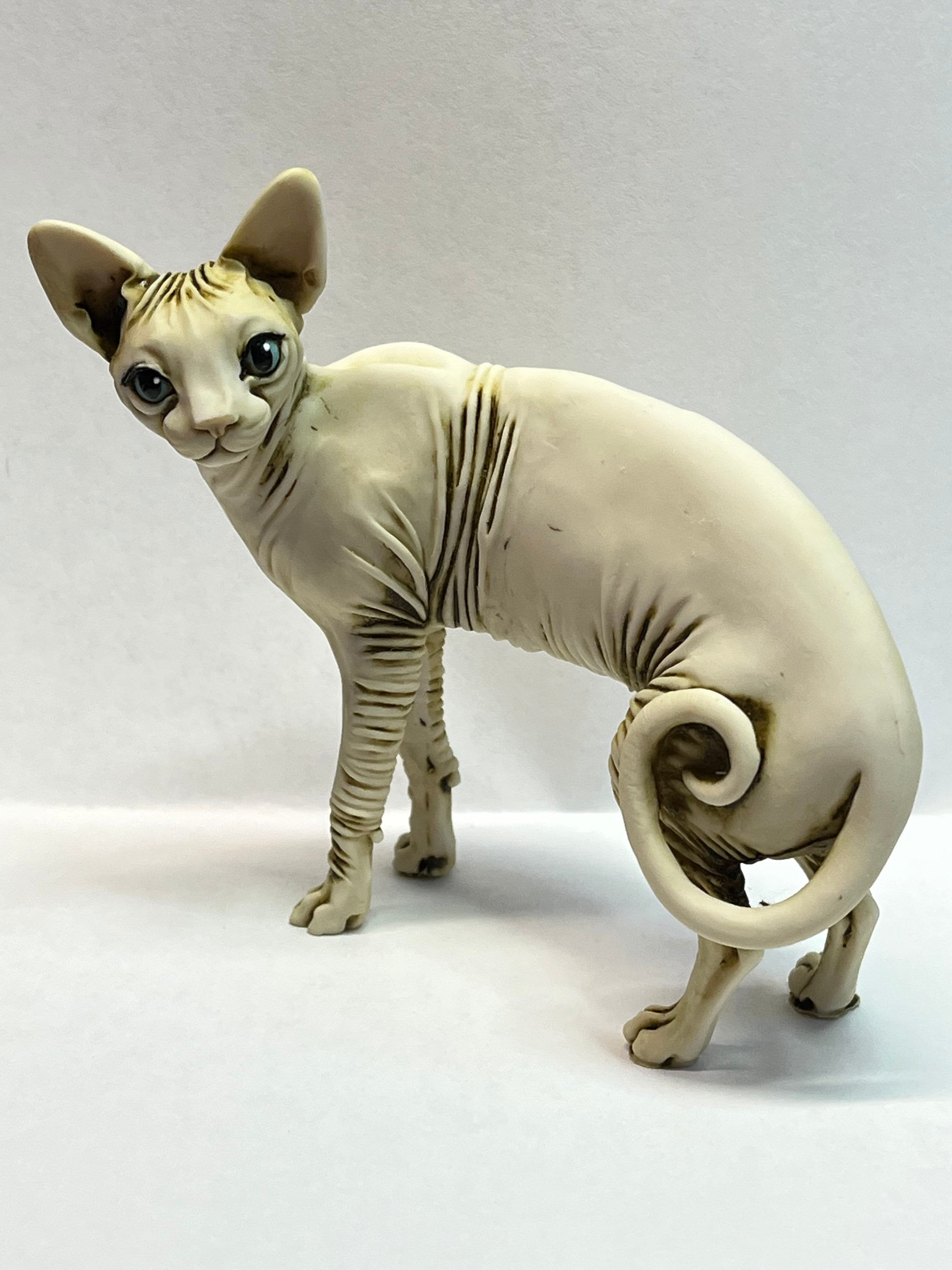 Artist Neil Eyre Eyredesigns Sphynx Cat Kitten Kitty Blue Eyes