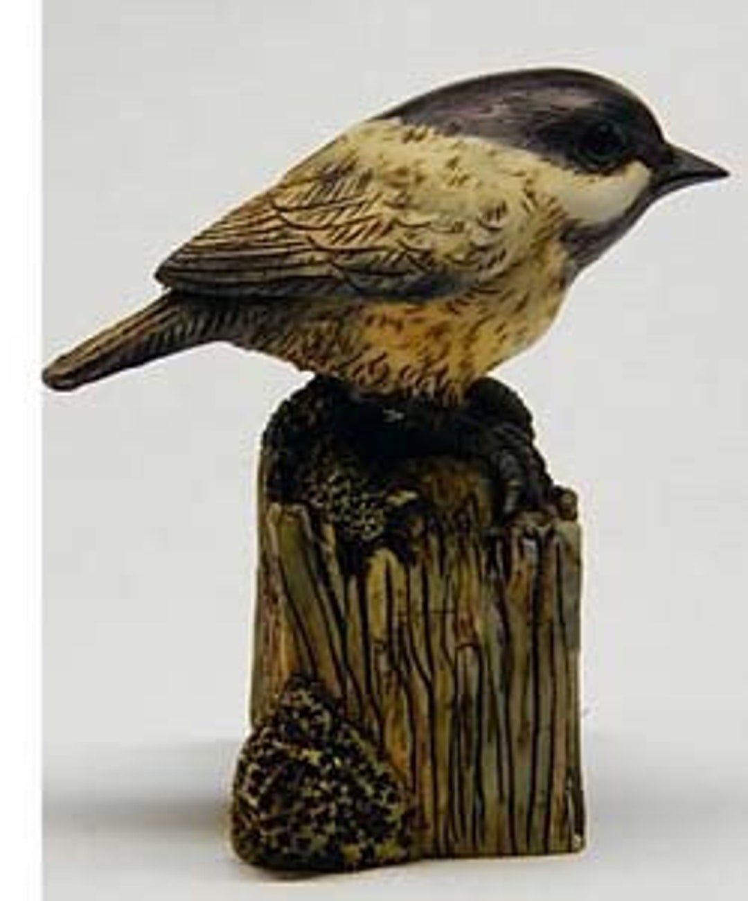 Neil Eyre Eyredesigns Bird Wildlife Black Capped Chickadee Baby