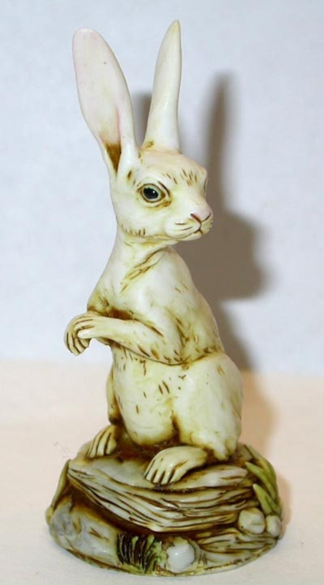 Artist Neil Eyre Eyredesigns Bunny Rabbit Hare White or Grey on Nature ...