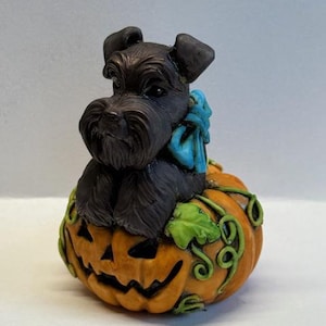 May include: A black miniature schnauzer figurine wearing a blue bow sits on top of a carved orange pumpkin with a jack-o'-lantern face. The pumpkin has green vines and leaves.