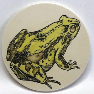 May include: A yellow frog with black markings is depicted on a white ceramic coaster. The frog is facing right and has a detailed design.
