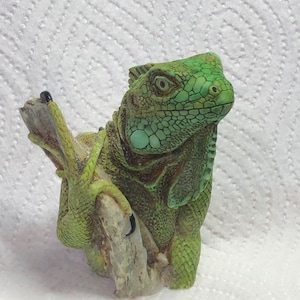 May include: Green iguana figurine perched on a rock, with a detailed textured surface and realistic features.