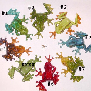 May include: A collection of seven colorful frog figurines, each with unique hues and patterns. The frogs are arranged in a circular pattern, with a small insect in the center. The frogs vary in color, including green, blue, red, and orange, and are numbered from 1 to 7.