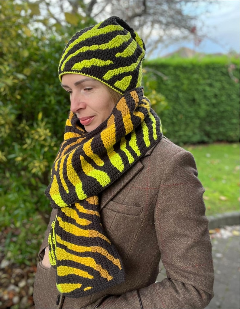 Crochet Hat and Scarf PATTERN Zebra Print Women Beanie And Scarf Set Overlay Mosaic Crochet Written, Videos, Charts PDF image 10