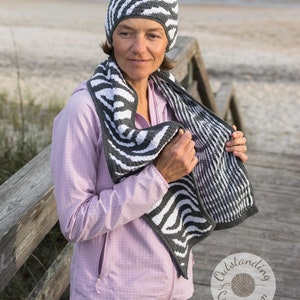 Crochet Hat and Scarf PATTERN Zebra Print Women Beanie And Scarf Set Overlay Mosaic Crochet Written, Videos, Charts PDF image 8