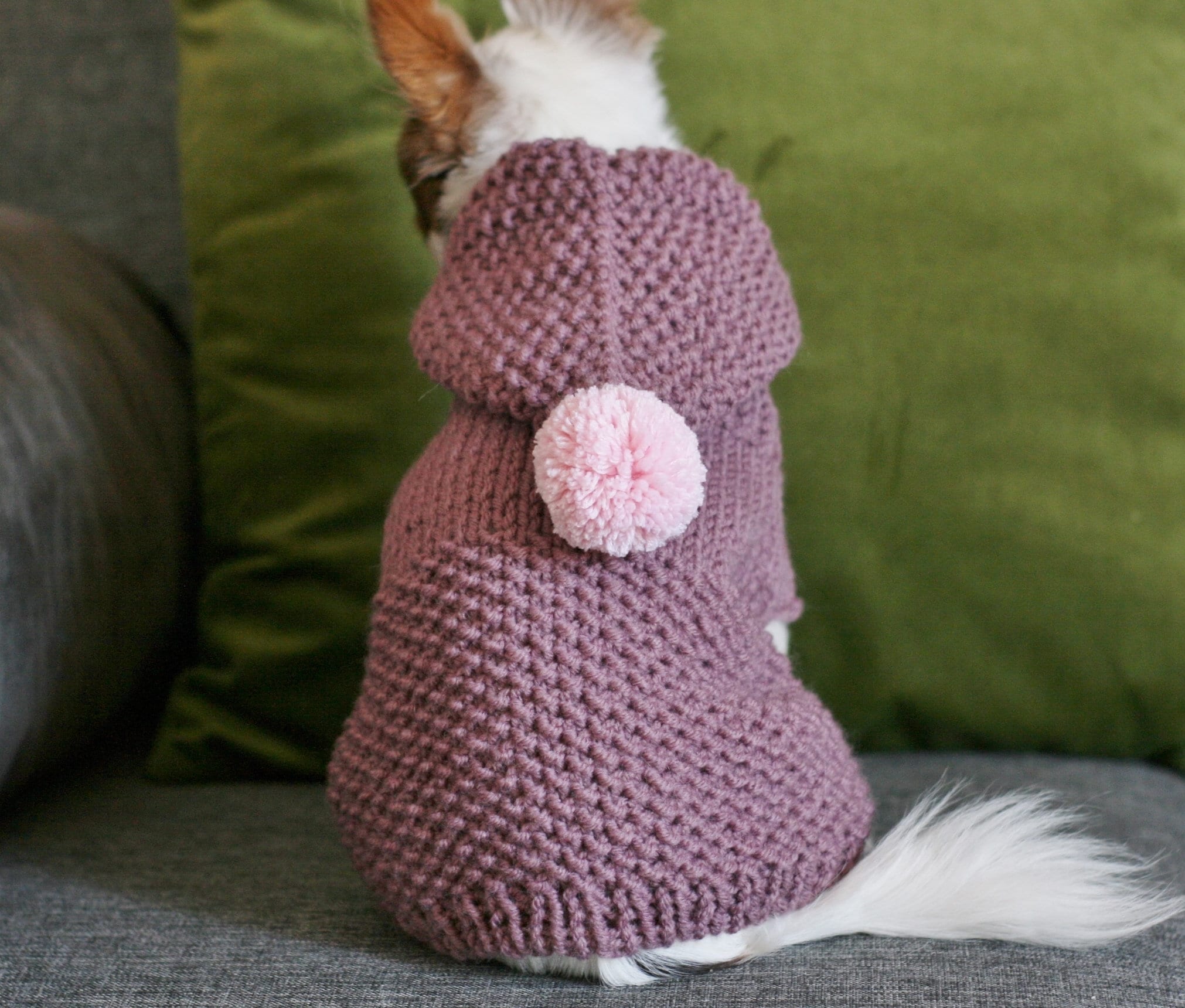 PDF Knitting pattern Toy Chihuahua hooded sweater. Knitted Etsy