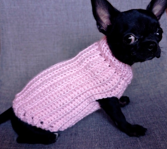 Tricoter pull chihuahua facile sale