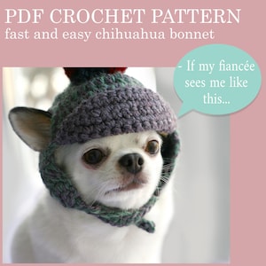 May include: A white chihuahua wearing a gray and green crocheted hat with a red pom-pom. The dog is looking at the camera with a serious expression. The text "If my fiancée sees me like this..." is in a speech bubble above the dog.