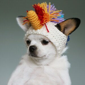 PDF Crochet PATTERN Toy Chihuahua photo prop hat. Fast and easy. Written in US terms. Skill level: Intermediate image 2