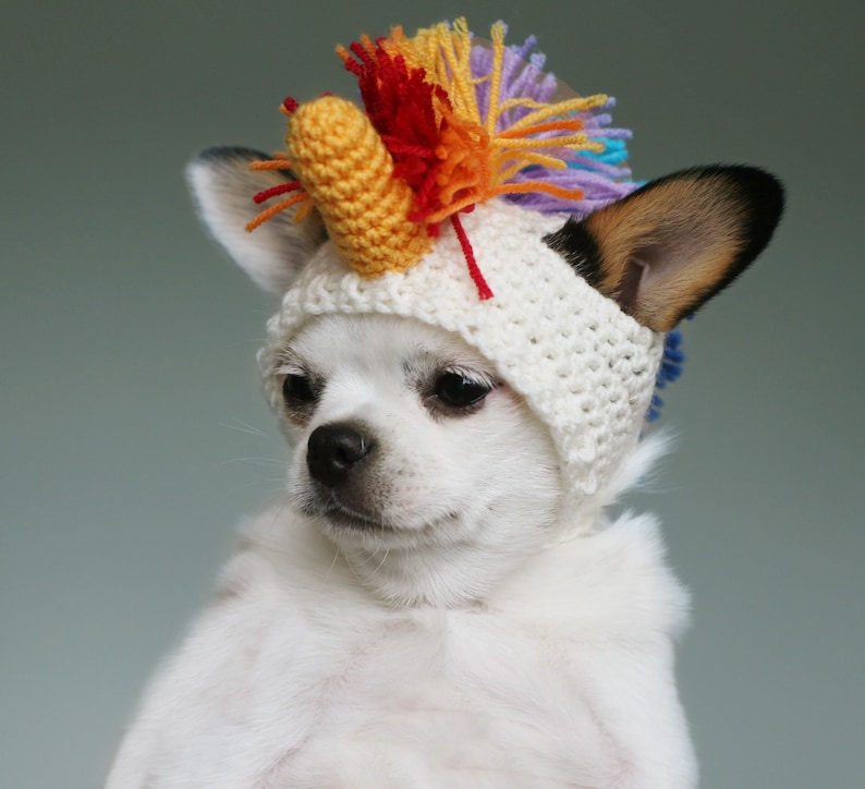 PDF Crochet PATTERN Toy Chihuahua photo prop hat. Fast and easy. Written in US terms. Skill level: Intermediate image 2