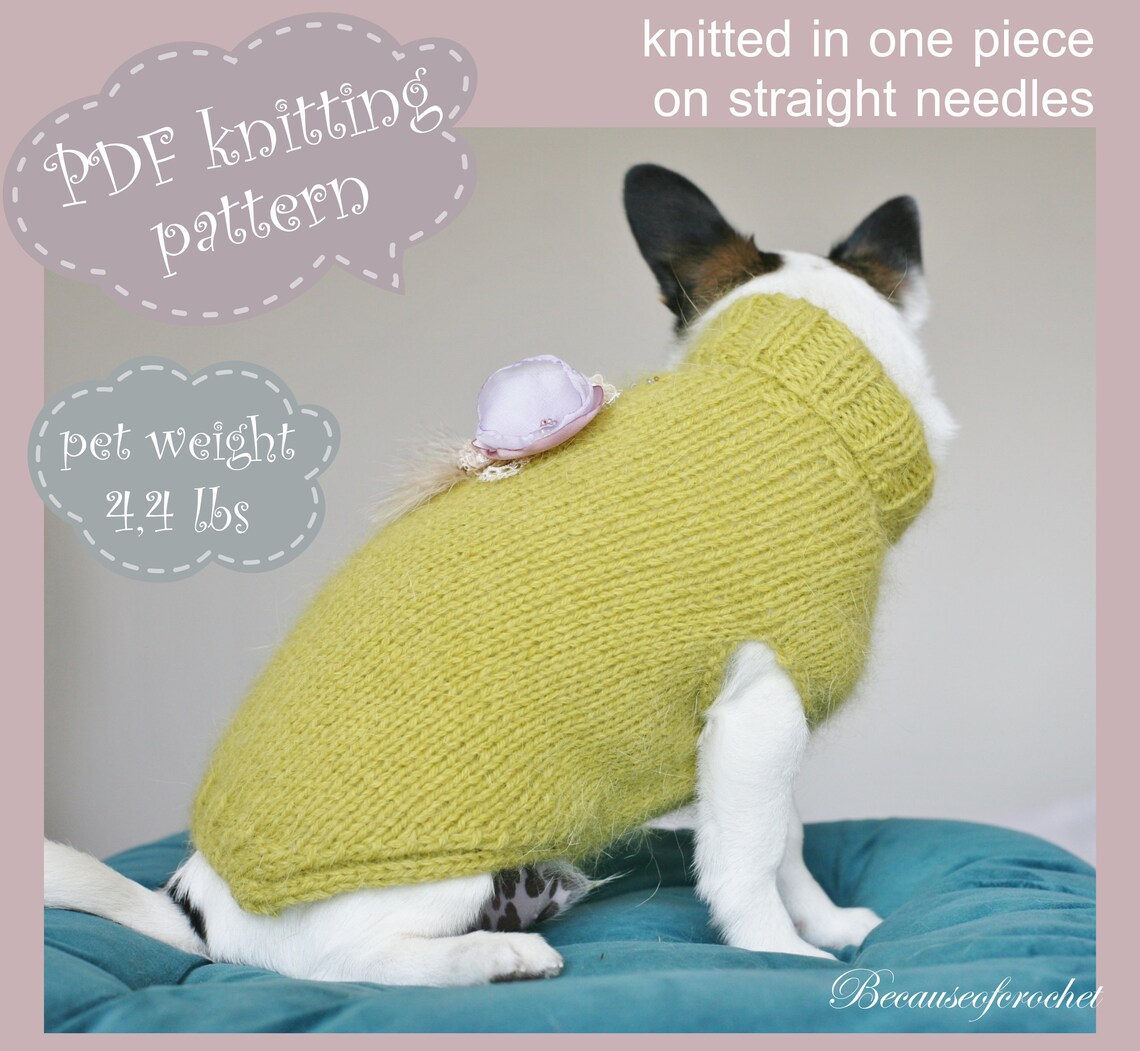 PDF Knitting PATTERN Puppy Chihuahua Sweater. Dog Weight 44 Etsy
