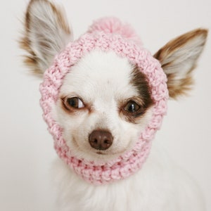 2 PDF Crochet PATTERNS Toy Chihuahua sweater and hat. Fast and easy. Made in one piece. Written in US terms. Skill level: Intermediate image 3