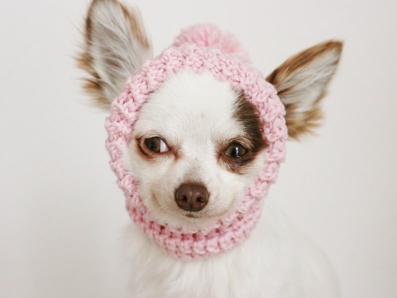 2 PDF Crochet PATTERNS Toy Chihuahua sweater and hat. Fast and easy. Made in one piece. Written in US terms. Skill level: Intermediate image 3