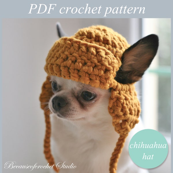 PDF Crochet PATTERN - Toy Chihuahua hat. Fast and easy. Written in US terms. Skill level: Intermediate