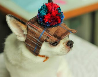Chihuahuamutsje in maat XS, gemaakt van 100% zuivere scheerwol. Hoofdomtrek 27-29 cm. Direct leverbaar.