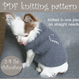 Patrón de tejido para suéter de chihuahua de juguete (PDF)