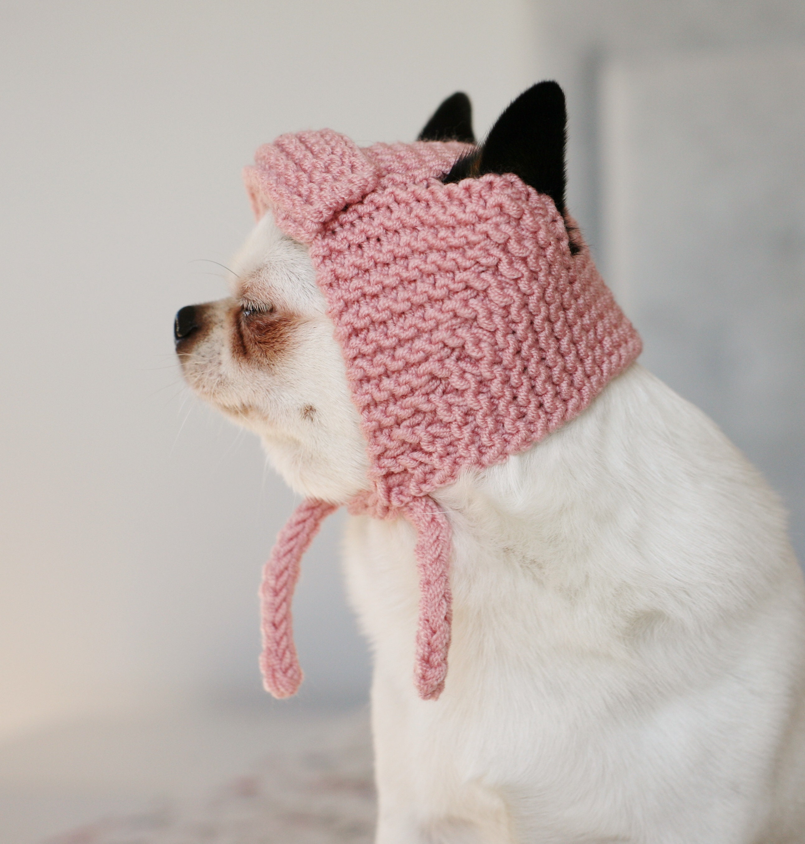 Knitted Dog Bonnet PATTERNS: Chihuahua & Pug Sizes (2 PDF Patterns