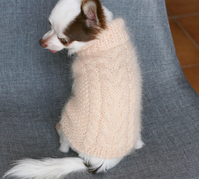 PDF Knitting PATTERN Toy Chihuahua girl braided sweater. Dog Etsy