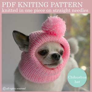 Chihuahua Hat Knitting Pattern: One-Piece Knit (PDF Pattern)