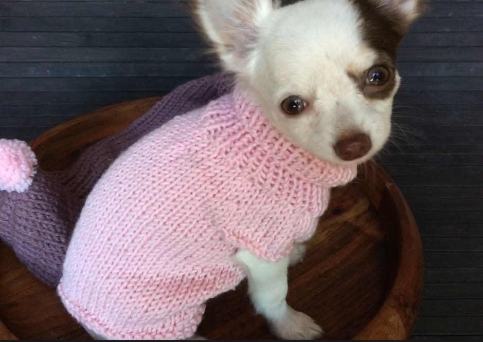 2 PDF Knitting PATTERNS Chihuahua sweater. Fast and easy. Etsy