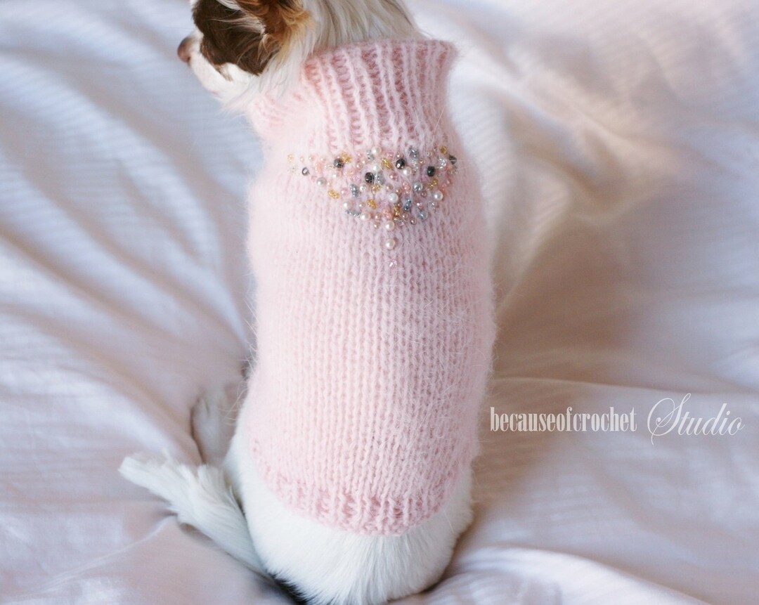 Modèle de tricot de pull chihuahua tricot facile, termes