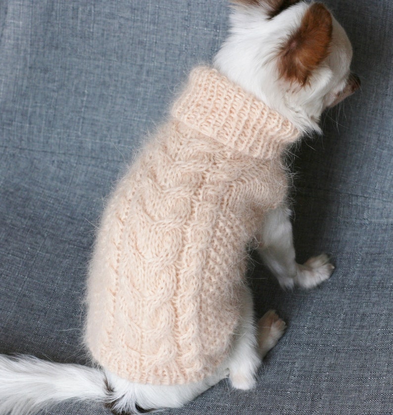PDF Knitting PATTERN Toy Chihuahua girl braided sweater. Dog Etsy
