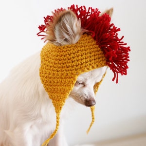May include: A small white dog wearing a yellow crocheted hat with a red mohawk.