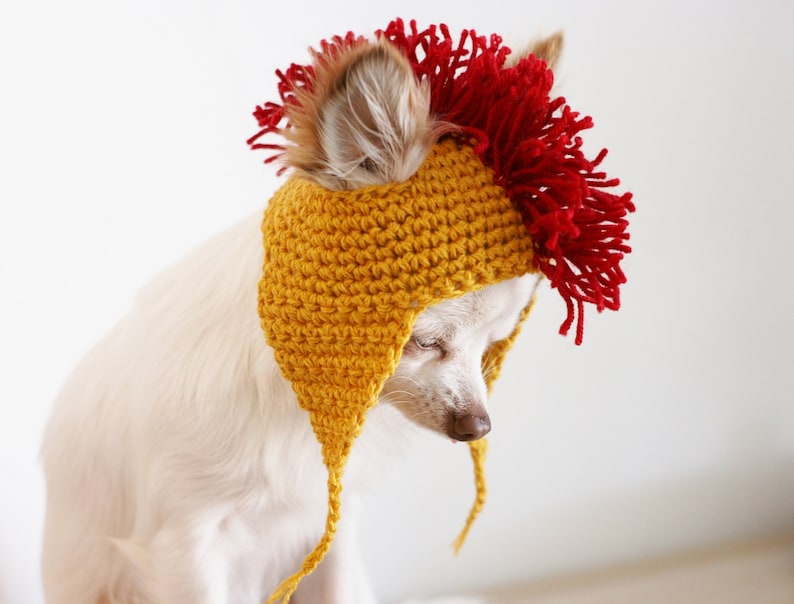 May include: A small white dog wearing a yellow crocheted hat with a red mohawk.