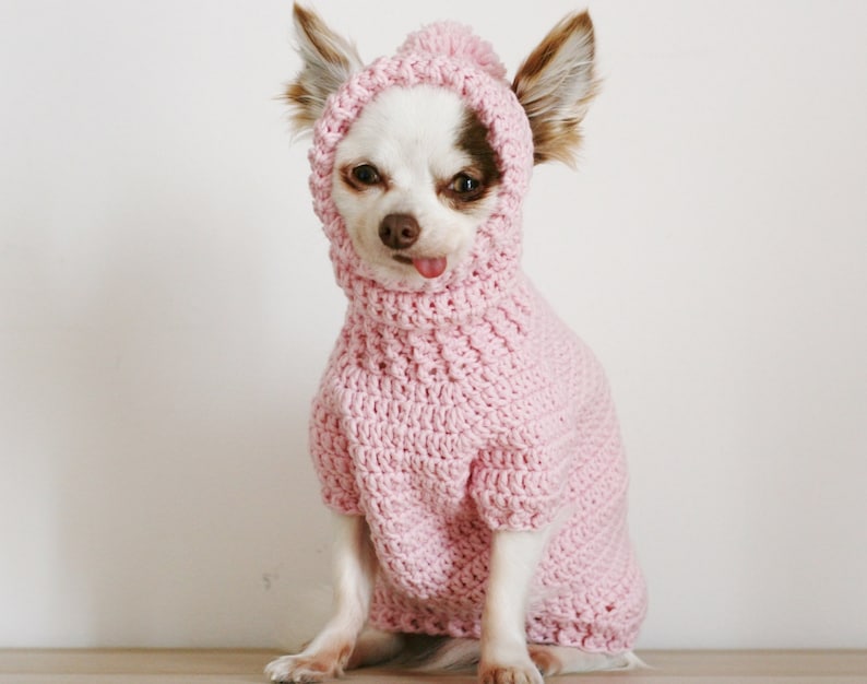 2 PDF Crochet PATTERNS Toy Chihuahua sweater and hat. Fast and easy. Made in one piece. Written in US terms. Skill level: Intermediate image 9